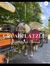 Instagram Beitrag Kutschfahrten Dornach
