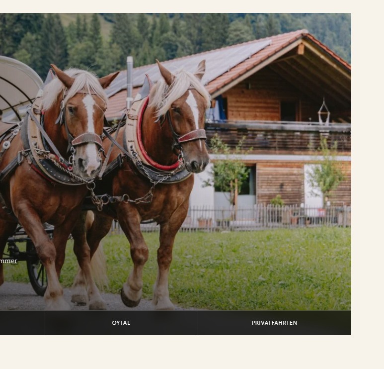 Echter Detailausschnitt der Website