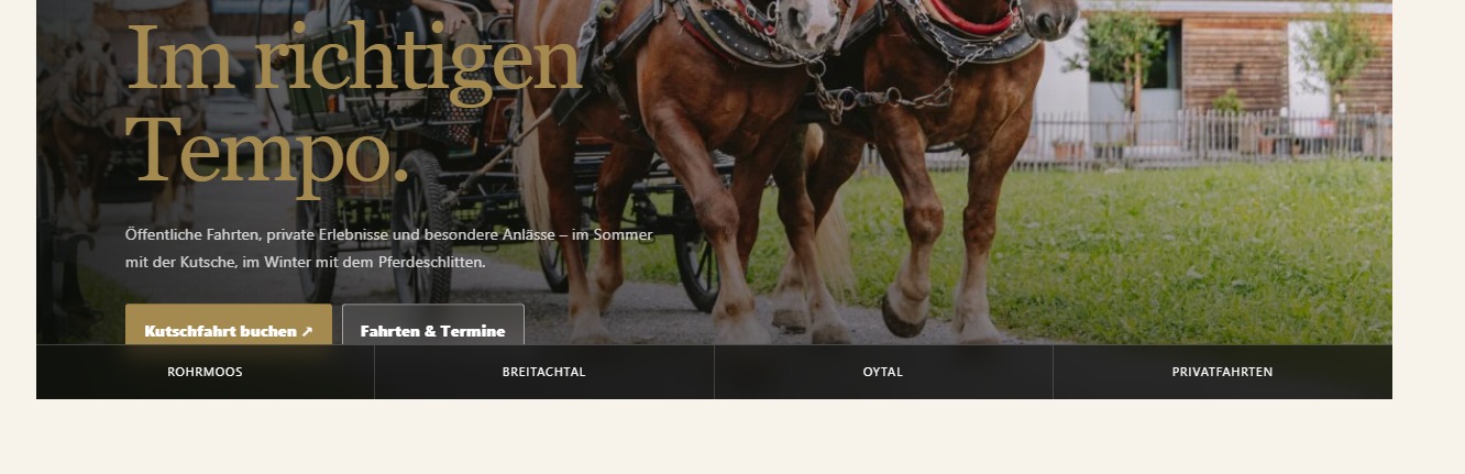 Echter Detailausschnitt der Website